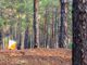 Orienteering protagonista in provincia di Cuneo: North West Cup 2026, tre grandi appuntamenti nazionali dall'1 al 3 maggio