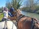 Bra è tappa del Paradriving Piemonte 2026, per superare la disabilità a cavallo Bra è tappa del Paradriving Piemonte 2026, per superare la disabilità a cavallo