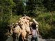 Per il Cuneo Montagna Festival in Municipio si presenta "La Routo" Per il Cuneo Montagna Festival in Municipio si presenta "La Routo"