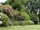 Cuneo, ortensie in fiore a villa Oldofredi Tadini
