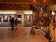 A Cuneo il Museo Diocesano diventa palcoscenico con la performance “Meravigliosi sintomi” A Cuneo il Museo Diocesano diventa palcoscenico con la performance “Meravigliosi sintomi”