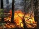 INCENDI / In Piemonte situazione in miglioramento, domani la riunione in Regione per l'emergenza idrica