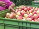 Il caso Saluzzo nella relazione del gruppo di lavoro sullo sfruttamento in agricoltura del Consiglio regionale Il caso Saluzzo nella relazione del gruppo di lavoro sullo sfruttamento in agricoltura del Consiglio regionale