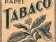 Smettere di fumare nicotina: le alternative naturali al tabacco che funzionano davvero Smettere di fumare nicotina: le alternative naturali al tabacco che funzionano davvero