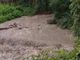 Maltempo in alta Valle Ellero, chiuse le prese dell'acquedotto: "Acqua solo per usi strettamente necessari" Maltempo in alta Valle Ellero, chiuse le prese dell'acquedotto: "Acqua solo per usi strettamente necessari"