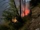 Emergenza incendi boschivi e siccità: la Regione estende all'intero Piemonte lo stato di emergenza regionale Emergenza incendi boschivi e siccità: la Regione estende all'intero Piemonte lo stato di emergenza regionale