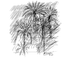 All'ombra delle palme tagliate: a Ormea la le poesie di Marino Magliani e i disegni Sergio Biancheri