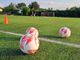 CALCIO ECCELLENZA / Ufficiali gironi e calendario 26/27: si parte domenica 6 settembre CALCIO ECCELLENZA / Ufficiali gironi e calendario 26/27: si parte domenica 6 settembre