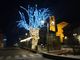 L'albero in piazza Umberto I