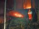 L'intervento sull'incendio boschivo di Boves
