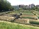 Gli orti urbani di viale Cherasca (foto Gisella Divino) Gli orti urbani di viale Cherasca (foto Gisella Divino)
