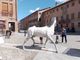 Il cavallo bianco di Napoleone fa il suo ingresso trionfale a Cherasco: è un'opera del piozzese Franco Sebastiano Alessandria