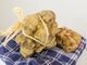 Ad Alba prosegue la Fiera internazionale del tartufo bianco d'Alba (Giorgio Perottino Getty Images)