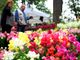 Domenica 10 maggio a Fossano è di scena Expoflora