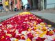 A Cuneo è tornata l'infiorata... aspettando la processione della Madonna del Carmine