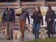 Campagna "Inseparabili": consegnati anche ai centri ENPA di Saluzzo e Cuneo i pasti per i pets ospitati