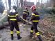 L'intervento dei Vigili del fuoco a Martiniana Po