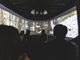 Nella mente del lupo: una mostra immersiva in San Francesco a Cuneo