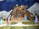 Torna il tradizionale presepe allestito nella confraternita Santa Croce di Paesana