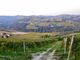 Le colline di Trezzo Tinella