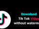 Tre metodi per scaricare i video di TikTok senza watermark Tre metodi per scaricare i video di TikTok senza watermark