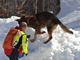 Soccorso alpino: unità cinofile da valanga pronte per la stagione invernale