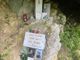 Fiori e una preghiera sul luogo del tragico incidente in cui morì Michele Pellegrino, finanziere di Vernante