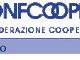 Confcooperative – Federlavoro e Servizi: un contratto di rete per crescere con energia Confcooperative – Federlavoro e Servizi: un contratto di rete per crescere con energia