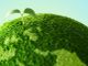 Backstage, questa sera al centro della puntata: “PNNR, Green Deal e sostenibilità: il futuro prossimo della nostra agricoltura&quot;