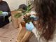 Successo per la serata dedicata alla cura e al rinvaso delle orchidee al Santuario di Monserrato