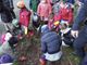 Ad Envie piantati 14 tigli dai bambini della della scuola primaria e dell'infanzia Ad Envie piantati 14 tigli dai bambini della della scuola primaria e dell'infanzia