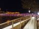 La passerella di Garessio illuminata per la LILT nel 2021 (Ph_S. Odasso) La passerella di Garessio illuminata per la LILT nel 2021 (Ph_S. Odasso)
