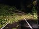 In foto i platani in zona Sanità, alcuni alberi abbattuti in zona Maresco e diverse strade provinciali nel saviglianese