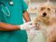 Nuovo direttivo dell’Ordine dei Veterinari della Provincia di Cuneo