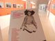 Immagine della mostra "Fotografia è donna" Immagine della mostra "Fotografia è donna"