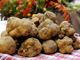 Presentata la 1^ edizione di "Alba Truffle Bimbi" la fiera del tartufo... a misura di bambino