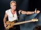 Al via una stagione di grandi concerti da Mondovì a Barolo: attesissimi Mark Knopfler e Sting
