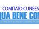 Il Comitato Cuneese Acqua Bene Comune replica a Dal Fabbro: "Iren si fa da parte?" Il Comitato Cuneese Acqua Bene Comune replica a Dal Fabbro: "Iren si fa da parte?"