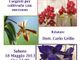 Bra: un convegno svela i segreti delle orchidee