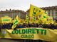 Quattromila agricoltori dalla Granda in piazza a Torino al grido di “Bôgia Piemunt: il tuo futuro siamo noi!”