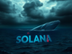 Solana sotto pressione: whale perde quasi 700.000 dollari e torna su Binance Solana sotto pressione: whale perde quasi 700.000 dollari e torna su Binance