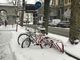 Cuneo