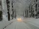 La strada in discesa da Limone Piemonte (foto Sofia)