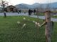 La festa si tiene al Parco dell'Ingenio La festa si tiene al Parco dell'Ingenio