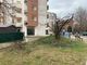 Savigliano, potati da ignoti alcuni alberi comunali: &quot;Non fatelo, rischiate di danneggiarli&quot;