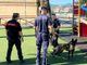 Operazione dei Forestali e della Polizia locale per fermare dei casi di avvelenamento di cani e gatti Operazione dei Forestali e della Polizia locale per fermare dei casi di avvelenamento di cani e gatti