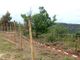 Danni all'agricoltura e indennizzi: &quot;Oltre il danno la beffa!&quot;