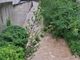Maltempo Saluzzo e Savigliano: Mellea, Maira e Rio Torto sotto controllo [VIDEO]