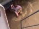 Un momento del salvataggio del cagnolino da parte del ragazzo