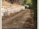 La scogliera di via Devesio